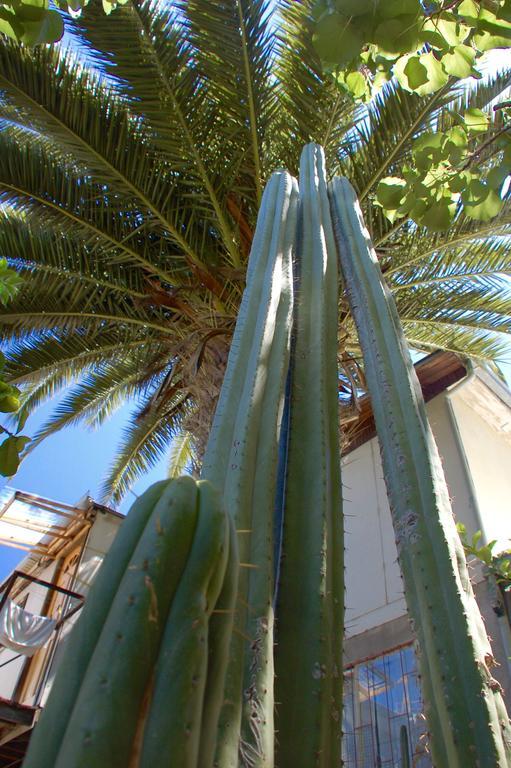 Hostal Maison De La Mer Valparaíso Екстериор снимка